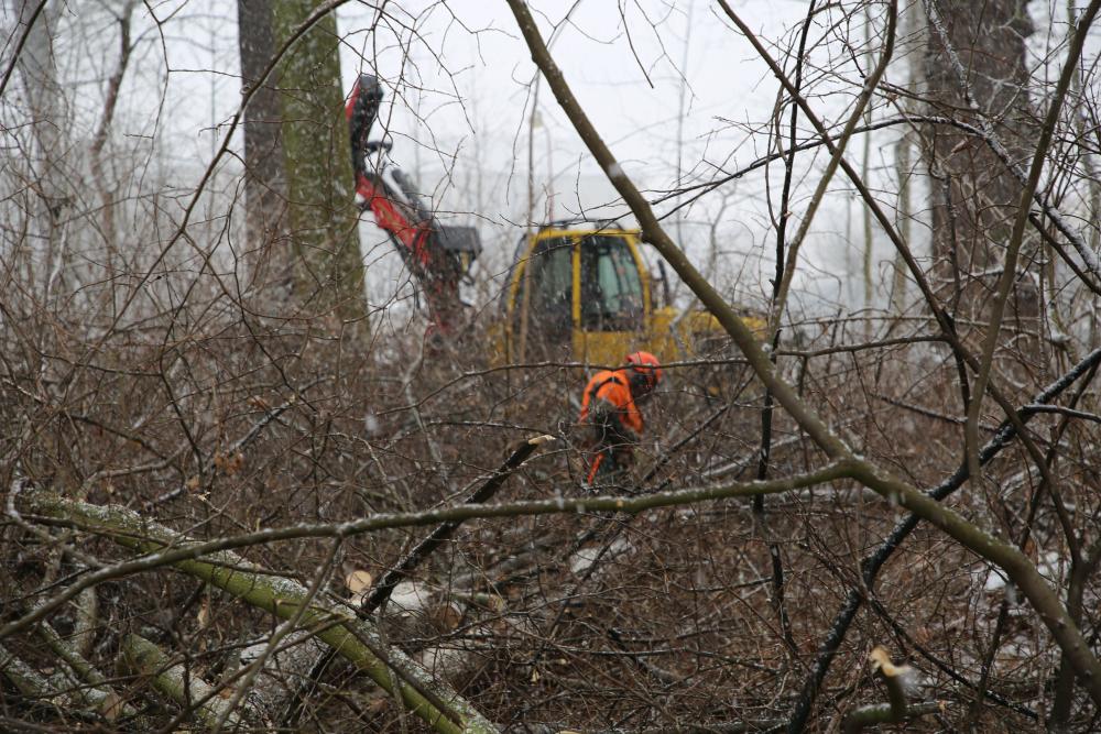 Letní omezení provozu pokladny