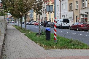 Pokračujeme s&nbsp;obnovou zeleně na třídě T. G. Masaryka