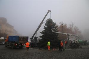 Vánoční strom rozsvítíme bez účasti veřejnosti