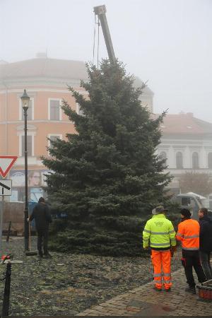 Vánoční strom rozsvítíme bez účasti veřejnosti