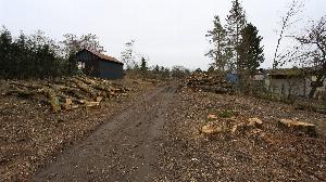 Proběhlo kácení lesního porostu v zahrádkářské oblasti