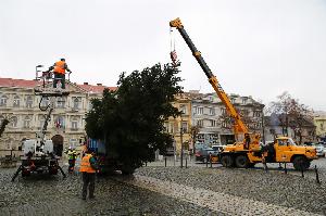 Roudnice má vánoční strom, věnovaly ho Ledčice